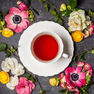 Buy Earl Grey | Stir Tea