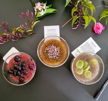 Chia Seeds & Brewed Tea